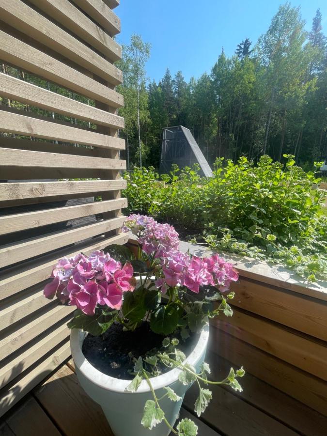 Haalia Homes Turku Paeaeskynpesae Exterior photo